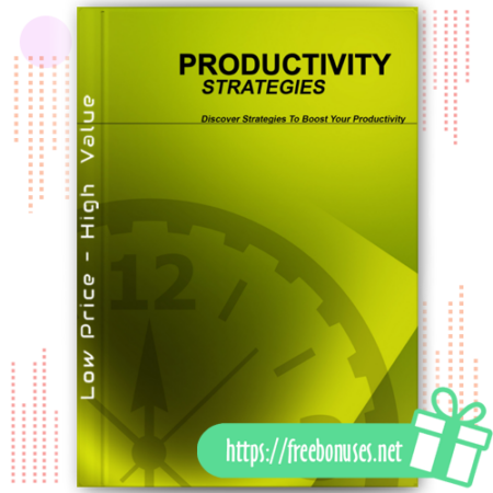 Productivity Strategies download