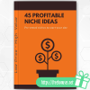 45 Profitable Niche Ideas download