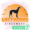 Greyhound Giveaways